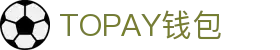 TOPAY钱包 - 安全便捷的个人财务管理工具